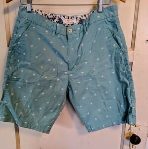 Cactus Man Palm Tree  Men's Shorts, size 32